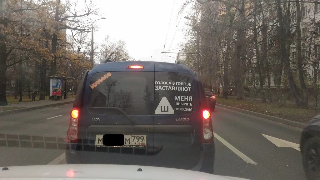 голоса в моей голове заставляют меня. эпизодические голоса в голове. голоса в моей голове заставляют меня шнырять по рядам. автомобильные рамки для номеров с надписями. голоса в голове номер.