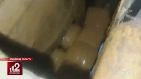 Рен тв вызов 112 сегодняшний