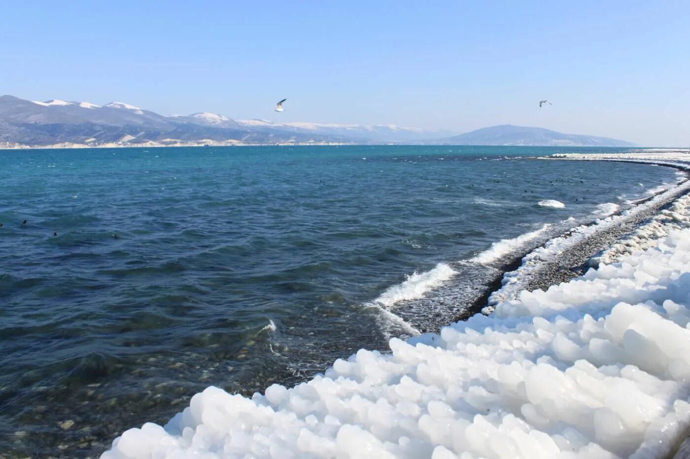 Новороссийск novorossiysk море. Черное море Новороссийск. Берег черного моря Новороссийск. Чёрное море новоросиск.