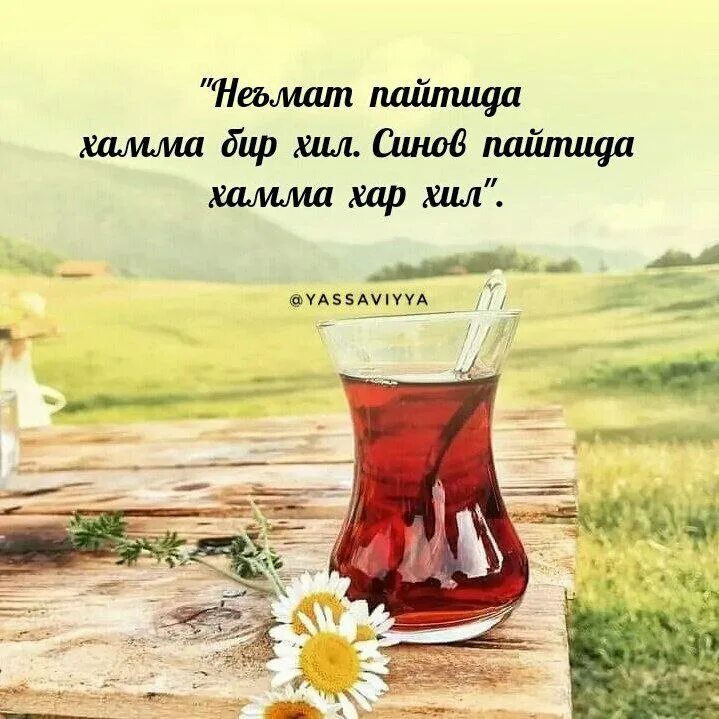 бир хил жинслилар. бир хил. тарбиянинг педагогикага богликлиги. палатин пиво. исим.