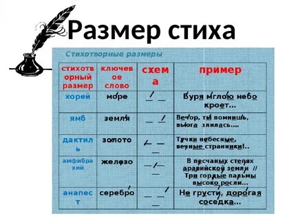 Стихотворные размеры в литературе с примерами