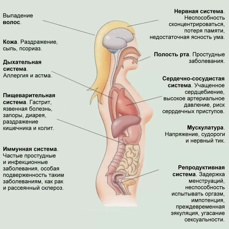 Влияние стресса на организм. Воздействие стресса на организм человека. Влияние стресса на женский организм. Последствия стресса для организма женщины. Задержка из за стресса сколько может быть