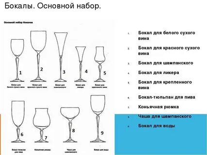 Какие бокалы для белого вина