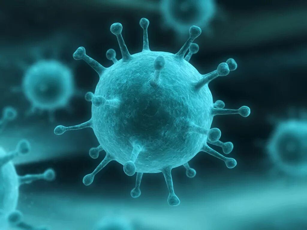 Грипп какие бактерии. Коронавирус возбудитель заболевания. Вирус гриппа. Микроб гриппа. Бактерия гриппа.