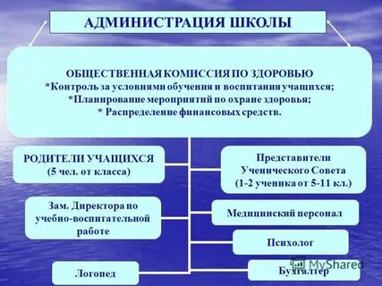 Общественные связи школы