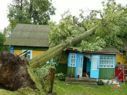 Дереву никто не