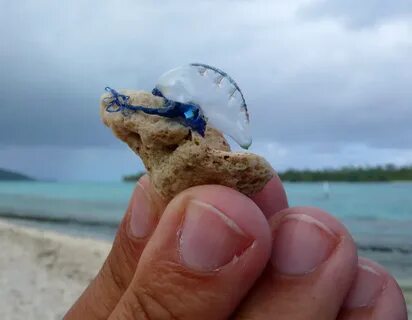 Самое маленькое по объему море
