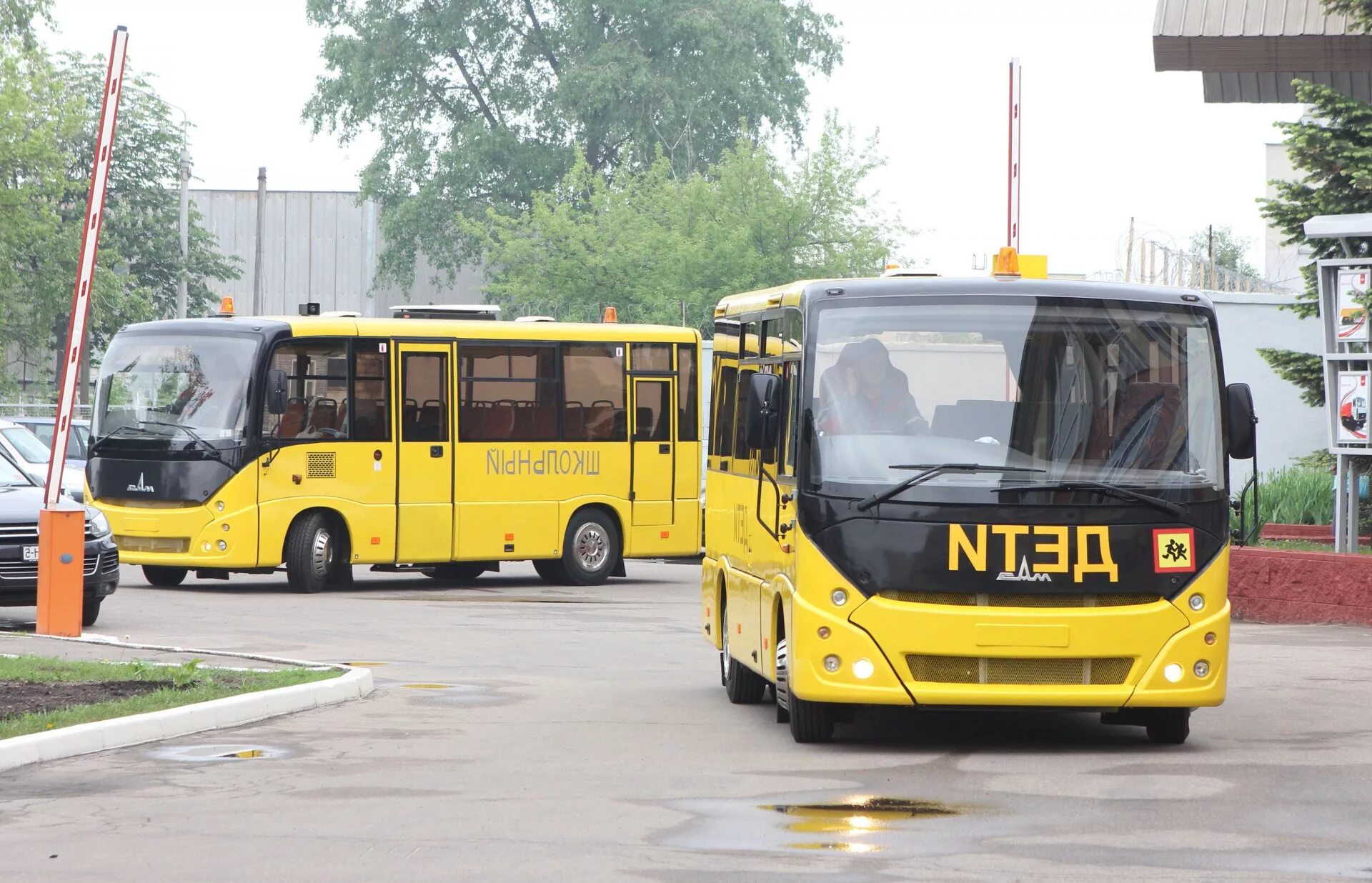 Перевозка детей автобусом заказ. Школьный автобус. Автобус для детей. Автобус для перевозки детей. Детскиешколныеавтобусы.