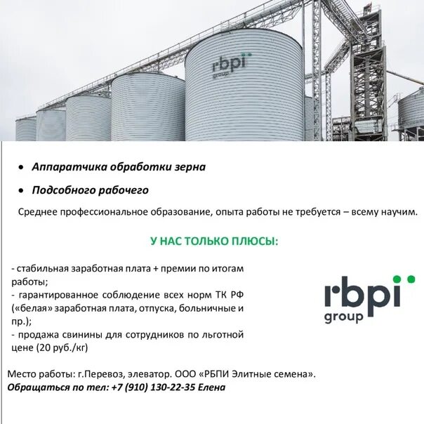 ООО РБПИ элитные семена. РБПИ элитные семена Перевоз. RBPI Group Вад. Рбпи групп