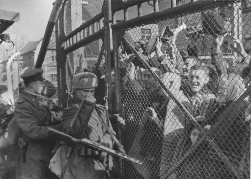 Биркенау освобождение. Освобождение узников освенцима 1945. Освобождение концлагеря освенцим красной армией. Биркенау освобождение. Освобождение узников освенцима.
