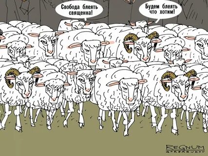 Песня злые волки а ты заблудшая барашка