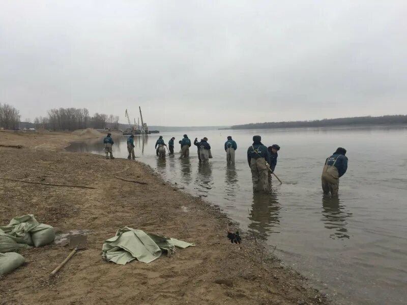 Загрязнения берегов рек. Обь Новосибирск загрязненная. Загрязнение Обь Новосибирск. Загрязненные реки Новосибирска. Загрязнение Оби в Новосибирске.