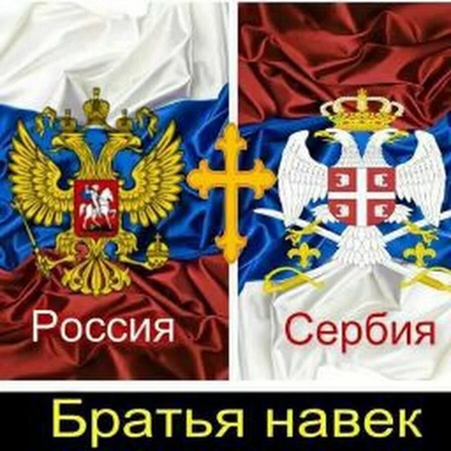 Сербы славяне. Сербский народный костюм. Чем отличаются сербы. Человек с флагом сербии. Чем отличаются сербы.
