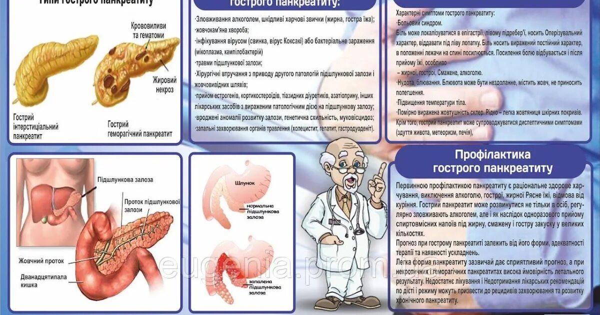 Профилактика хронического панкреатита. Буклет хронический панкреатит. Профилактика острого панкреатита. Острый панкреатит санпросвет. Памятка хронический панкреатит.
