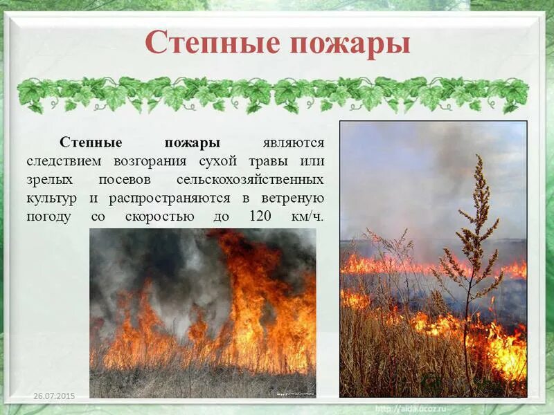 Причины степных пожаров. Степной пожар характеристика. Степные пожары презентация. Лесные степные и торфяные пожары.