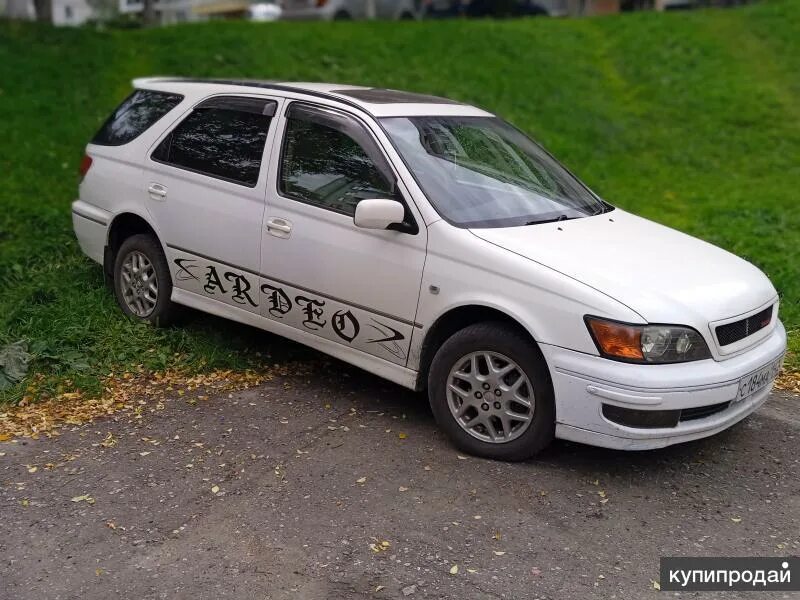 Виста 1999 год. Nissan pulsar 1996. Тойота виста 1999 года. Тойота виста 1999 зад. Toyota vista ardeo 1999.