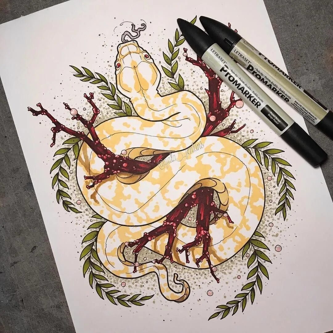 Рисование графика python