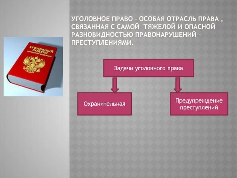 В чем особенности уголовно правовых отношений кратко. Уголовное право 9 класс Обществознание. Уголовное право задачи.