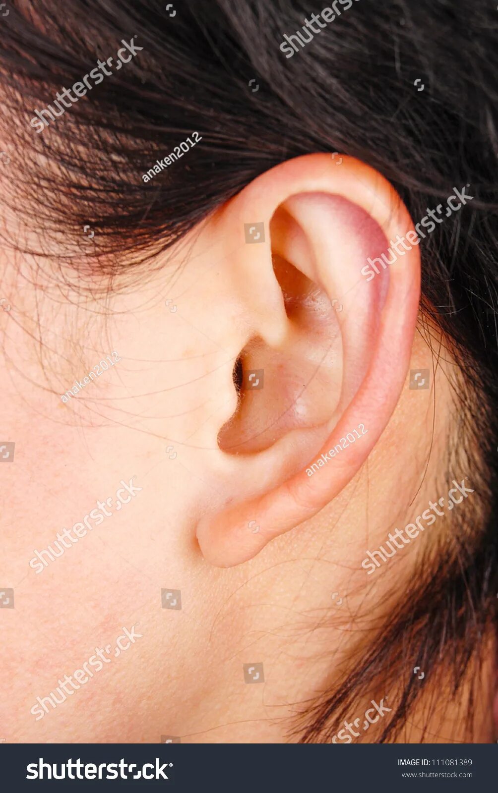Hearing loss and epilepsy identified as early signs of Parkinson’s - study The I