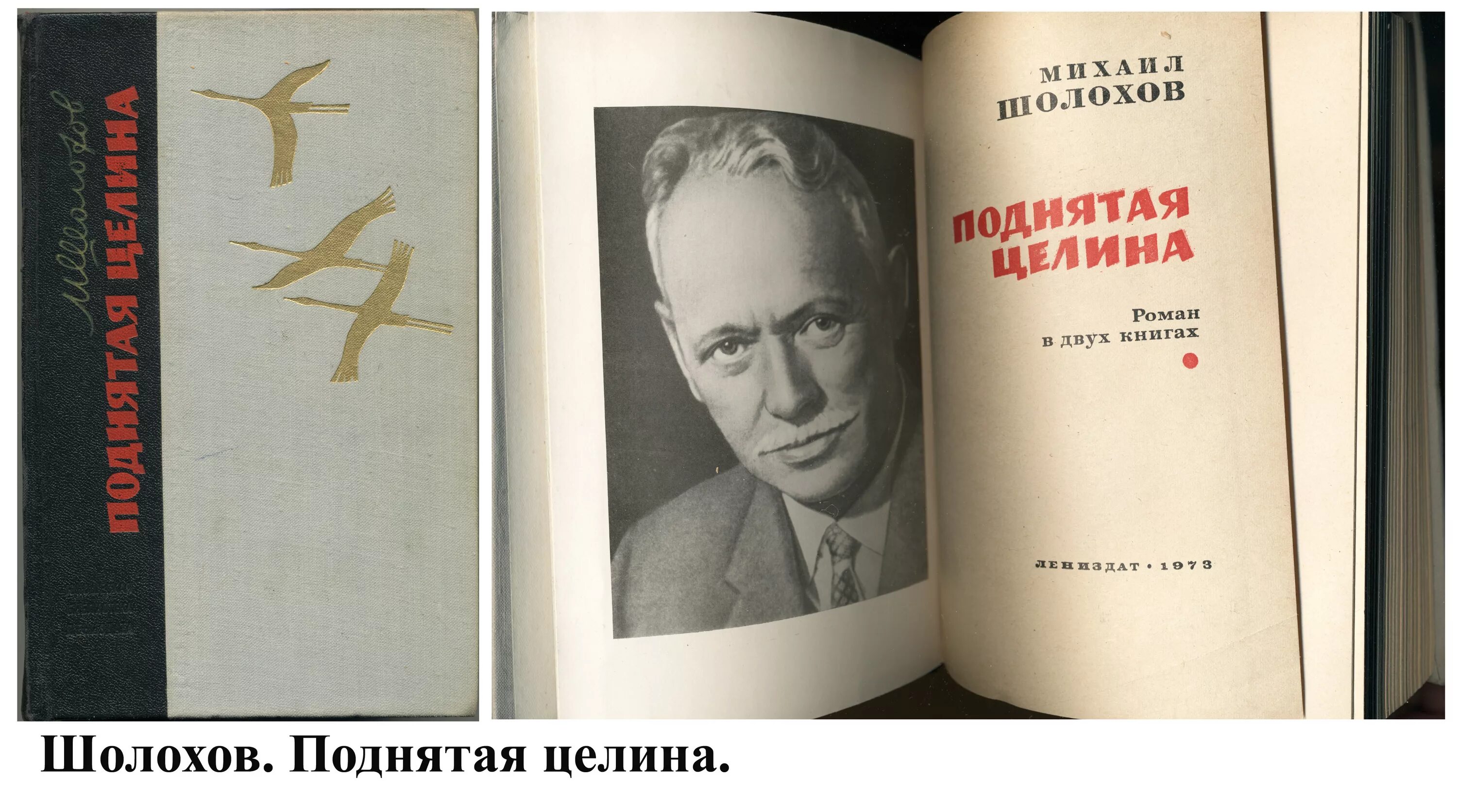 М а шолохов был автором произведения. «Поднятая Целина» м. Шолохова (1932). Шолохов м. "поднятая Целина". «Поднятая Целина» м. а. Шолохова (1960)..