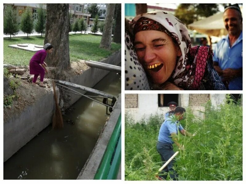 Смешные фото таджиков. Таджик прикол. таджикские приколы. смешной человек таджикистан. прикольные фото таджиков.