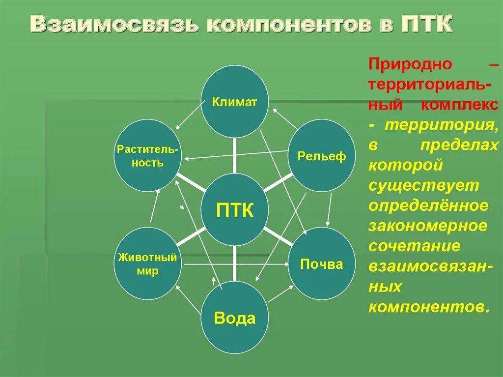 Человек природа взаимосвязь пример. Взаимосвязь природных компонентов. Взаимосвязь компонентов природного комплекса. Взаимосвязь природных комплексов. Взаимосвязь природных компонентов в природном комплексе.