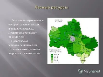 Лесистость