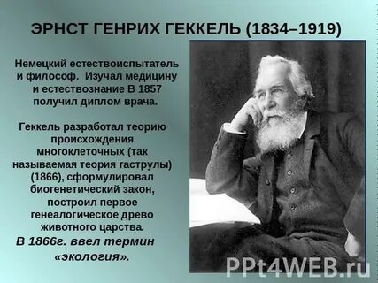 Немецкий биолог э геккель писал в 1904