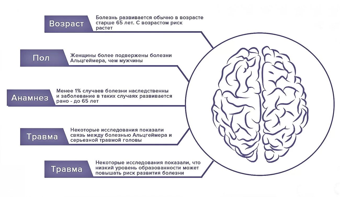 Деменция профилактика и лечение. Факторы развития болезни Альцгеймера. Факторы риска болезни Альцгеймера. Факторы заболевания Альцгеймера риска болезни. Динамика развития болезни Альцгеймера.