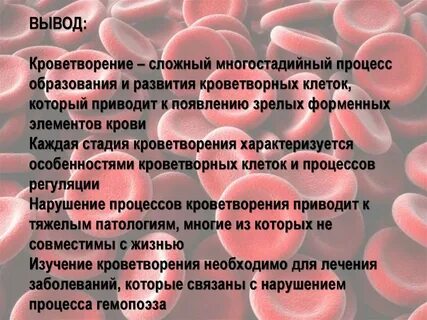 Для кроветворения необходимо
