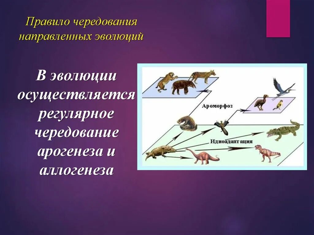 Необратимость эволюции это в биологии. Правило необратимости эволюции. Эволюционные процессы. Правила эволюции Необратимость. Какую роль в эволюционном процессе играет борьба