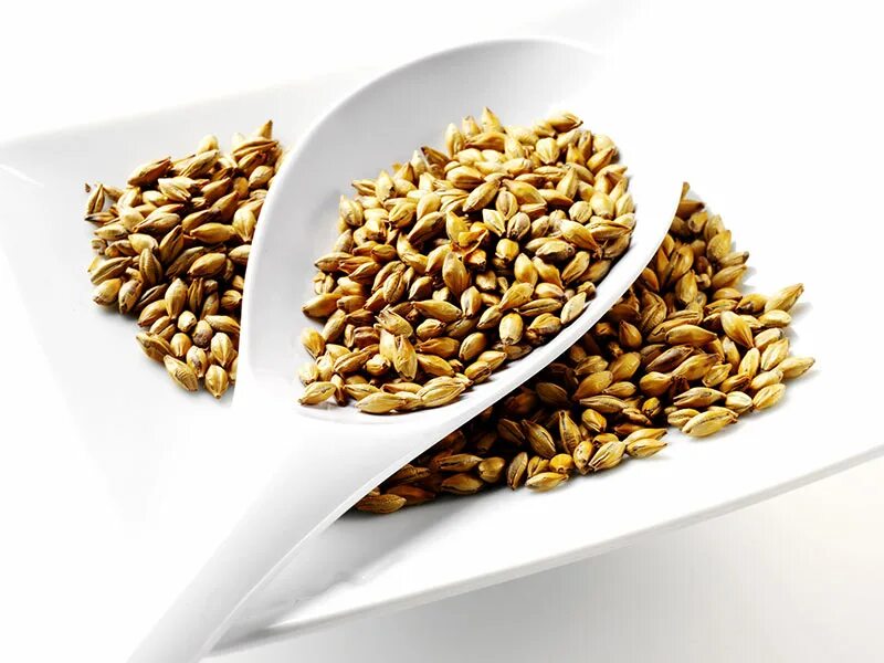 Солод что это такое. Солод. malt солод. ячмень солод. ячменный и пшеничный солод.