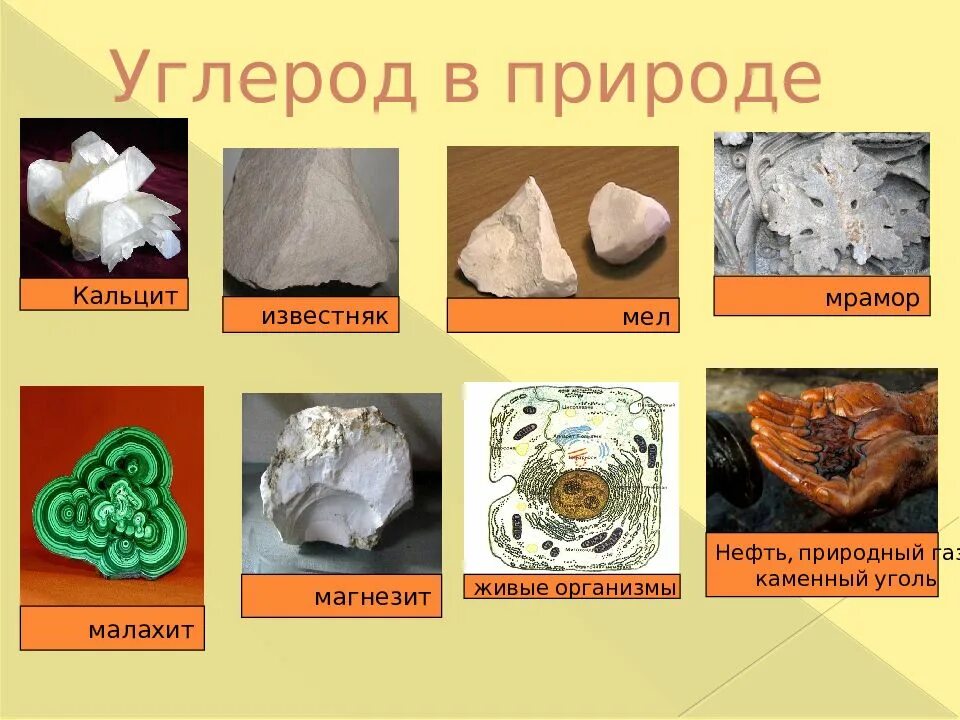 Углерод элемент живой природы а кремний. Нахождение в природе углерода. Углерод в природе. Распространенность углерода в природе. Соединения углерода в природе.