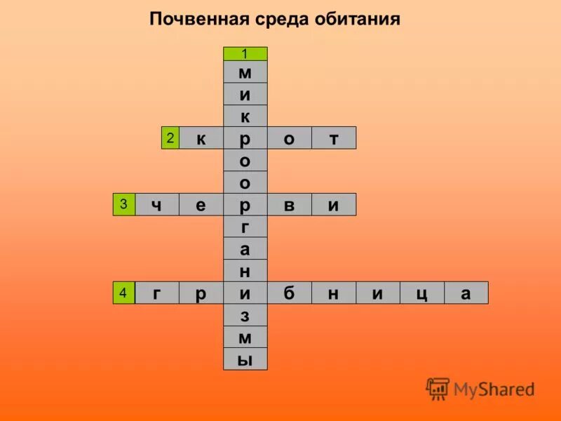 Кроссворд на тему среда обитания. Кроссыорл на тему среды обита. Кроссворд по теме среда обитания. Кроссворд по средам обитания. Кроссворд сезонные изменения в жизни организмов