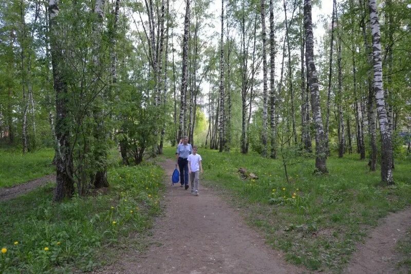 Сквер семейный Иваново. Сквер семейный Иваново ДСК. 43 Городсреда Киров. Фото парка сквер семья в старой Кулатке Ульяновской области. 54 gorodsreda ru новосибирская область