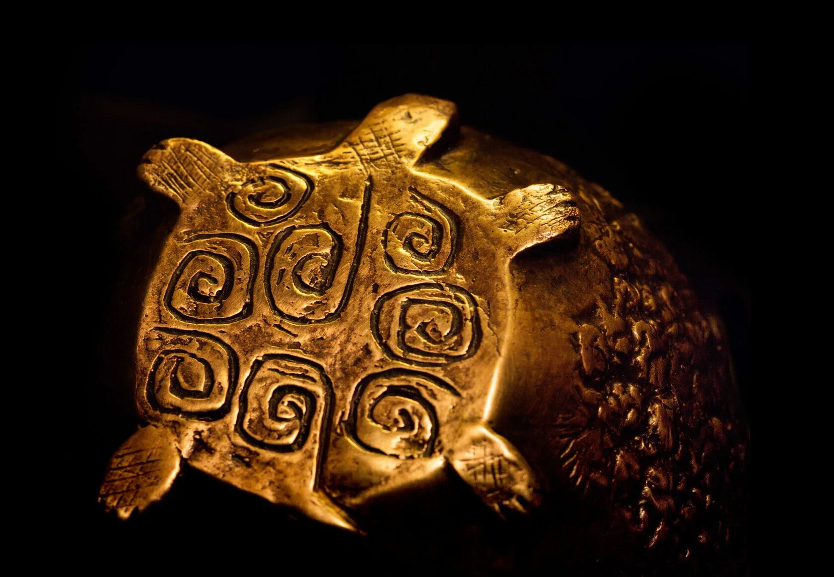 Конкурс черепаха. Золотая черепаха. Творческий конкурс «Золотая черепаха». Черепаха золото. Золотая непальская черепаха.