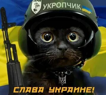 Укропчик