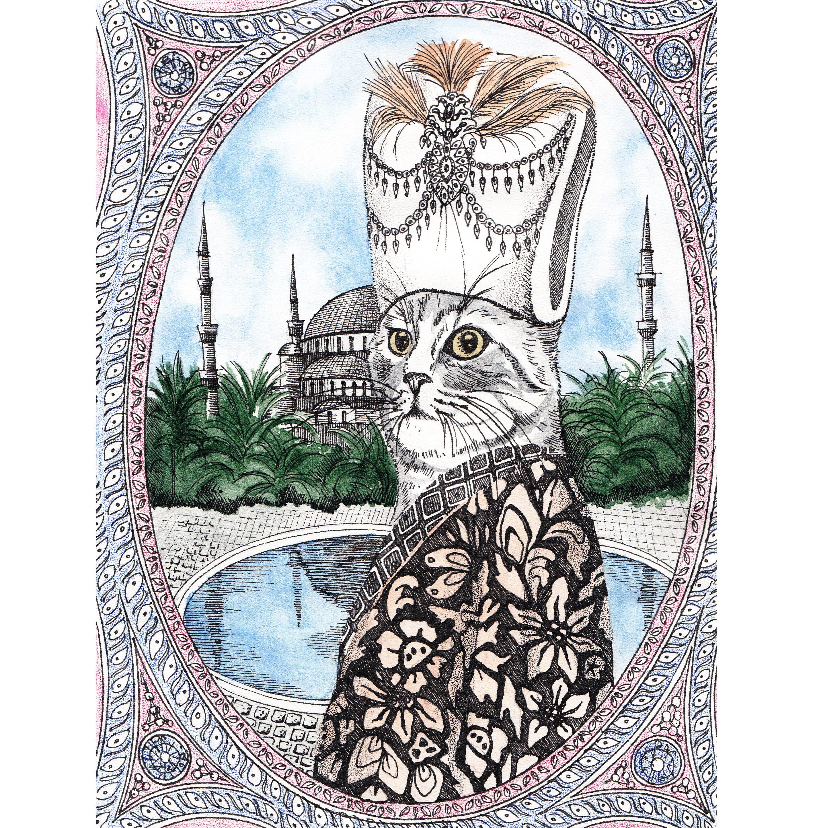 Кошка султана. Котик Султан. Кот падишах. Султан и кот картинки. Кот Султан рисунок.