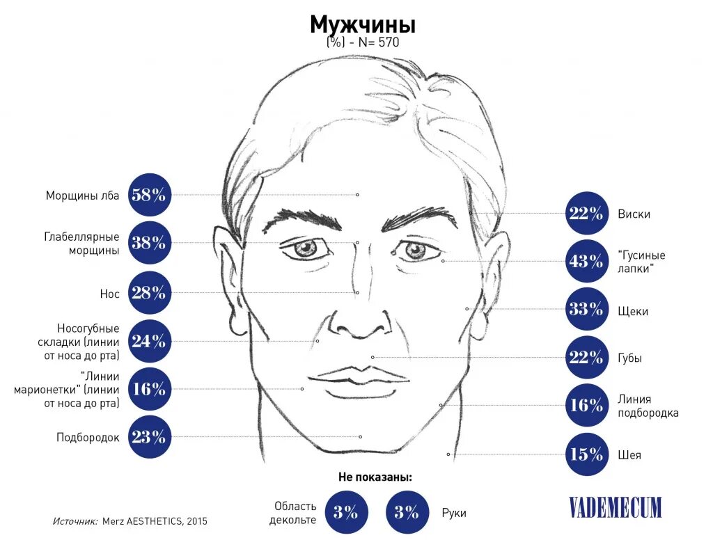 Как называли лоб. Части лица названия. Физиогномика лица морщины на лбу. Родини ка лице у мужчин.