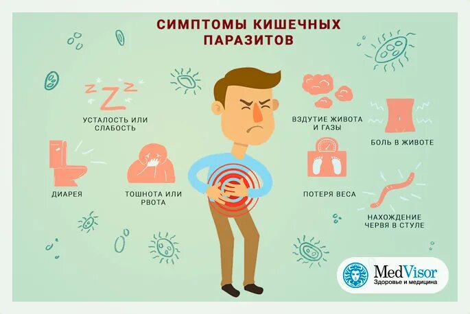 Симптомы глистов в организме. Признаки паразитов в организме. Признаки глистов в организме у взрослого.