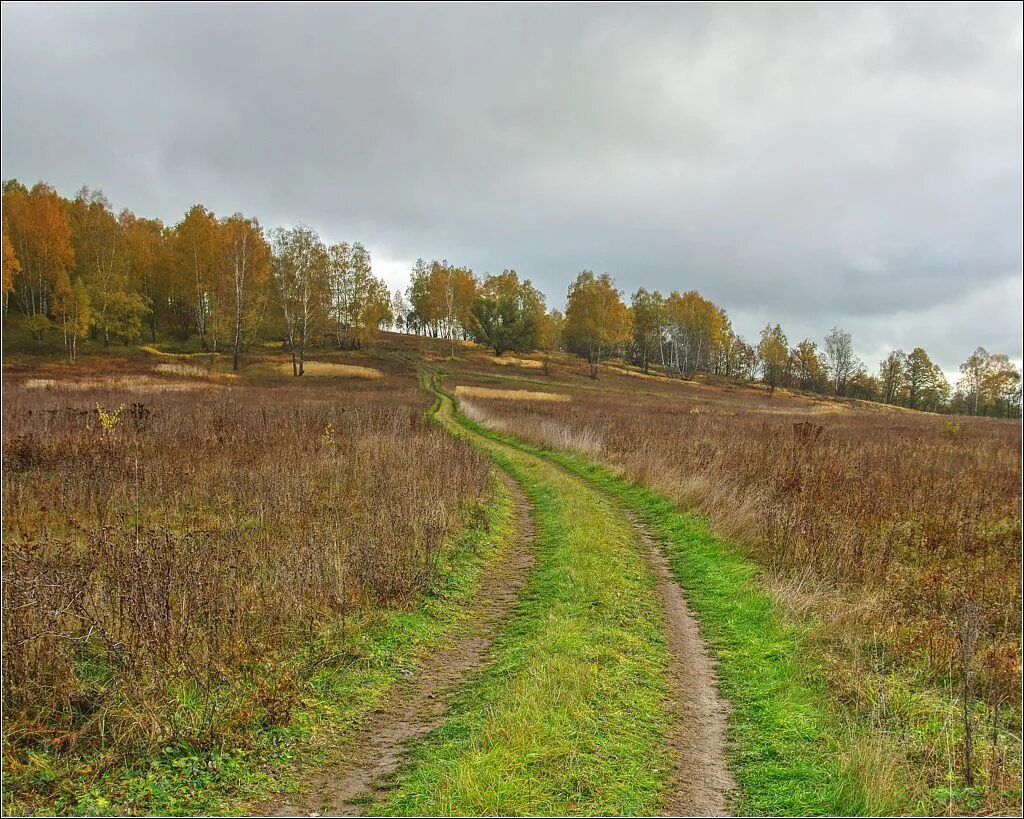 ченцово тульской области храм александра римскогт. погода в ченцово тул обл синоптик. церковь александра кипрского в ченцово. погода в ченцово тул обл синоптик.