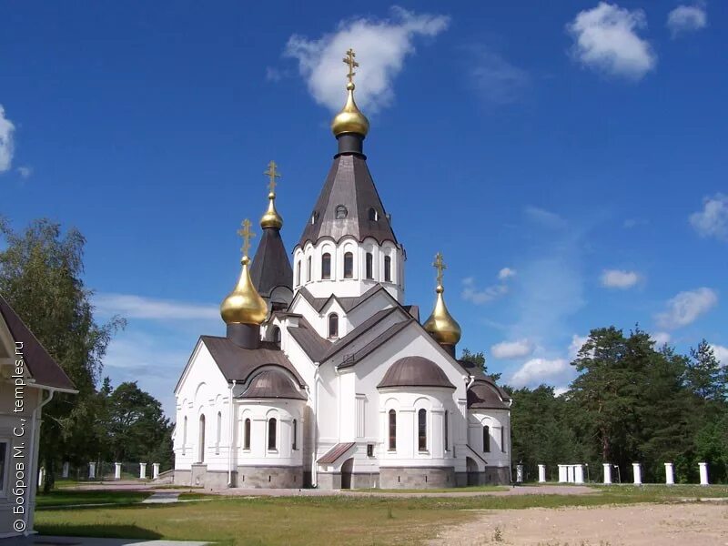 Церкви ленинградской области фото. Гостилицы Церковь Троицы Живоначальной. Усть Луга храм. Храм Святой Ленинградской области.