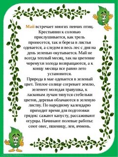 Описание мая