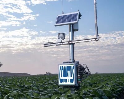 Field device