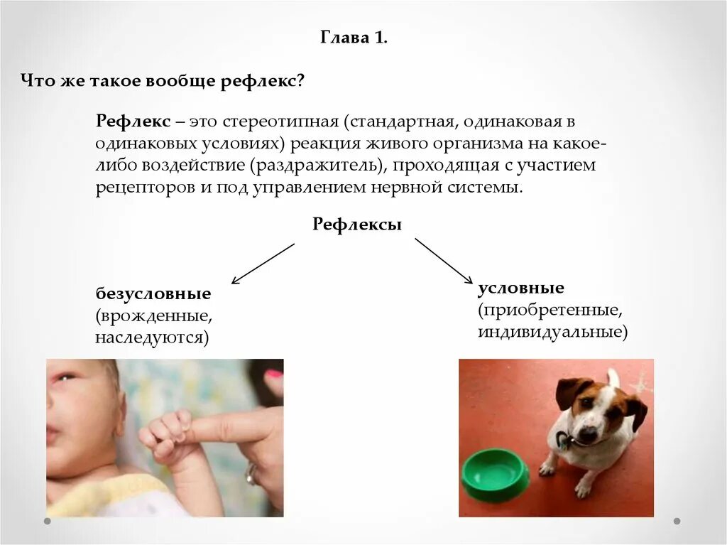 Врожденные рефлексы называют рефлексами. Условный рефлекс. Условные и безусловные рефлексы. Условные и безусловные рефлексы примеры. Условные рефлексы примеры.