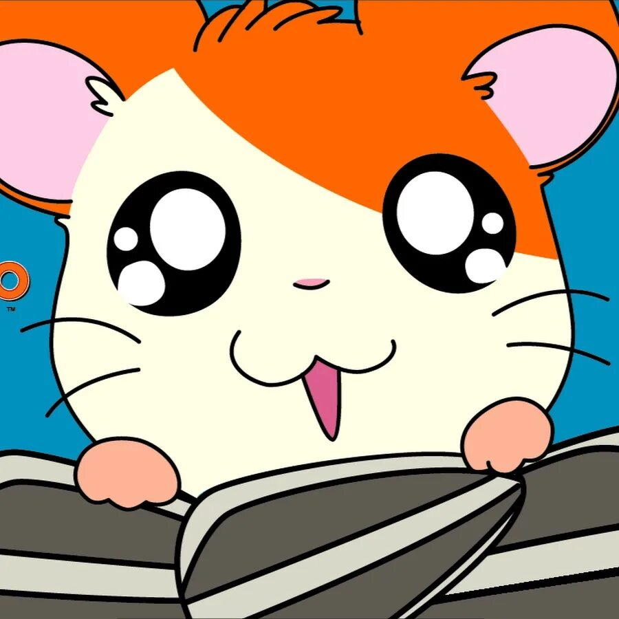 Хомяк хамтаро. Hamtaro хомяк. Приключения хамтаро. Хомяков манга