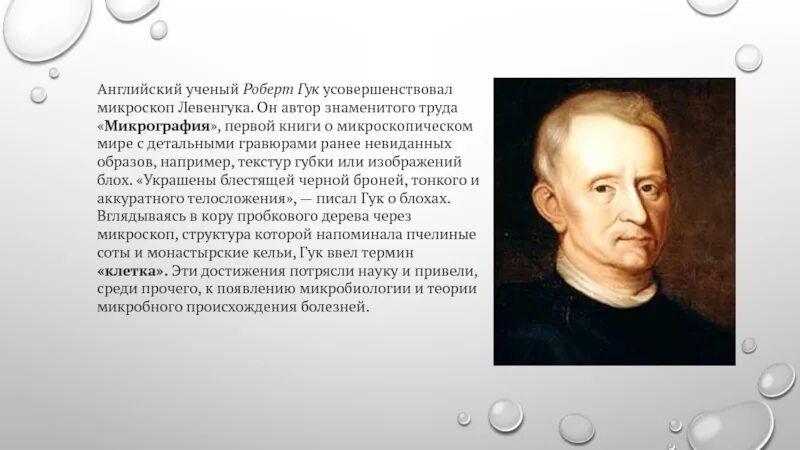 Сообщение о гуке. Сообщение о гуке