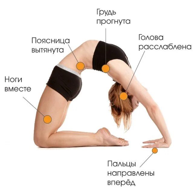 Как сделать спину гибкой