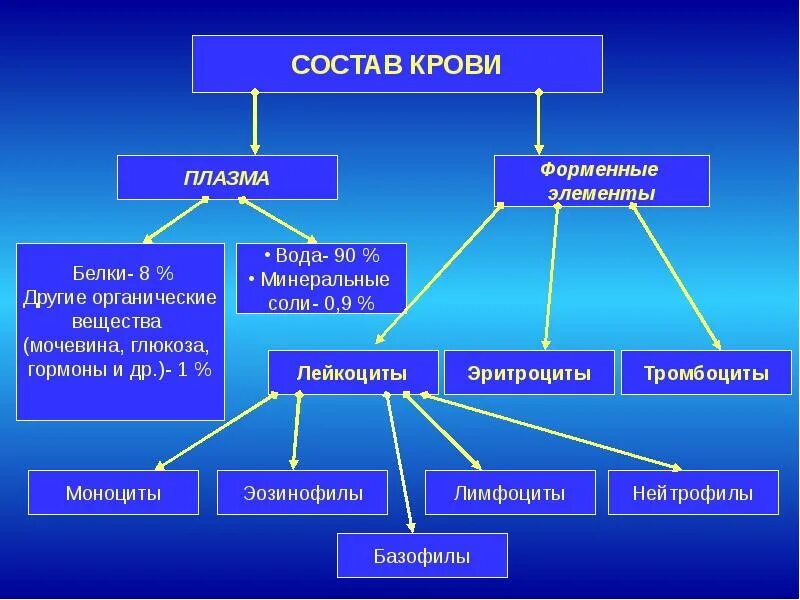 Компоненты внутренней среды. Внутренняя среда организма 8 класс биология. Кровь и остальные компоненты внутренней среды организма. Внутренняя среда организма 8 класс.