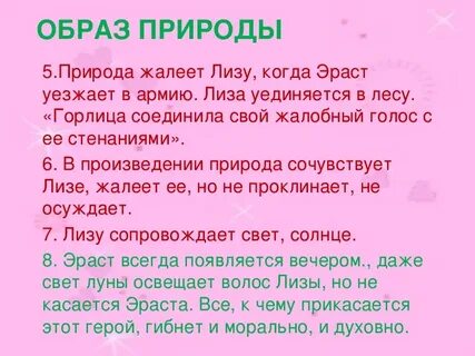 За что автор осуждает эраста